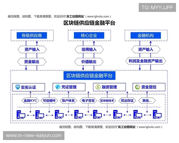 区块链技术在版权分发阶段的应用 确保了分销流程的透明度与不可篡改